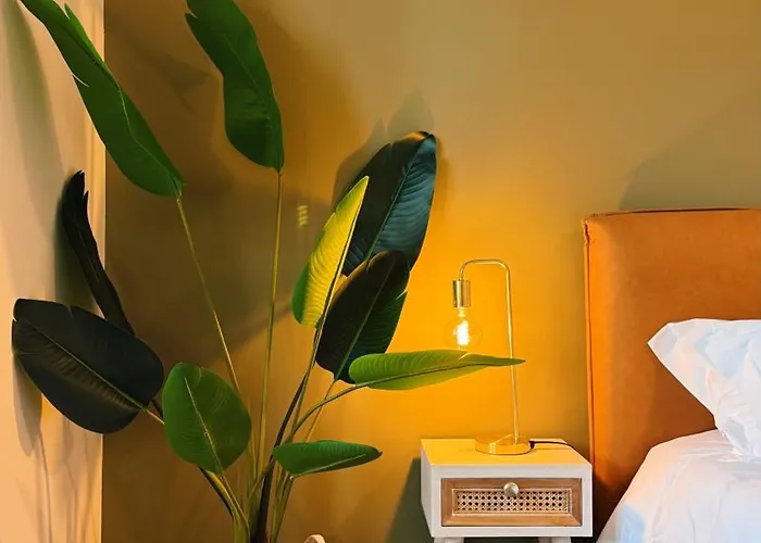 Gontim Boutique 民宿 维亚纳堡